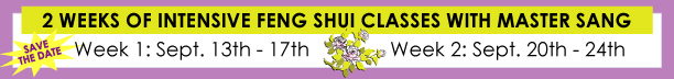 http://www.amfengshui.com/2010/03/23/2-weeks-intensive-classes-with-master-sang